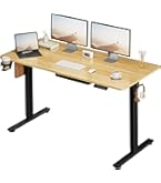Amazon | FLEXISPOT 電動式スタンディングデスク(幅120×奥行60