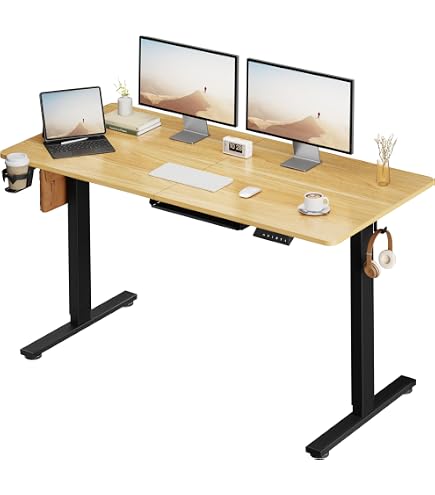 SANODESK QS1 昇降デスク 110x60cm 電動無段階調節