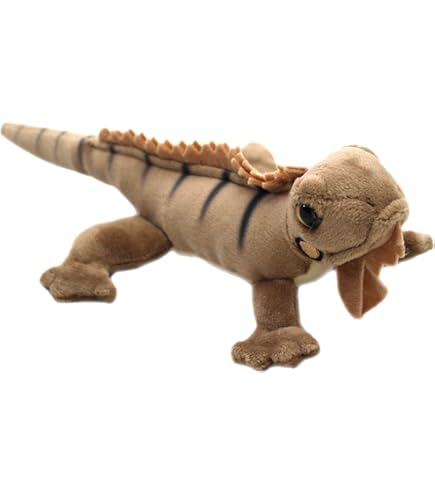 Amazon.co.jp: ラッコ リロくん フレームマグネット マリンワールド海