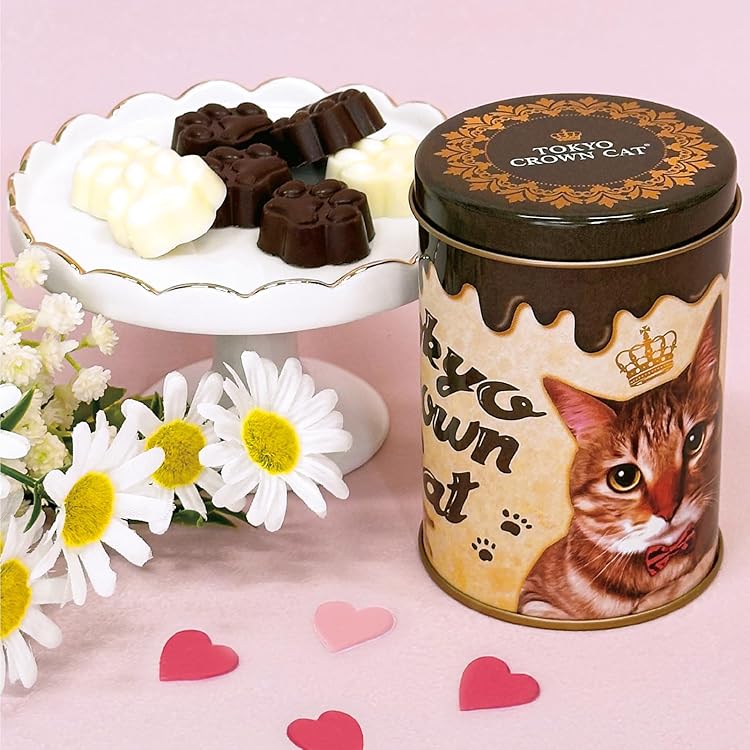 Amazon.co.jp: フランス屋製菓 8257 P7 ぱずるぱんだ｜Pa Pa Pa PANDA