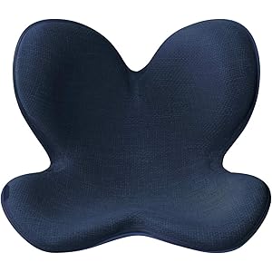 MTG 骨盤サポートチェア Body Make Seat Style(ボディメイクシート スタイル) メーカー純正品 1…