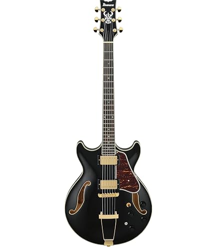 Amazon | Ibanez / AF75-TRS Transparent Red Sunburst アイバニーズ