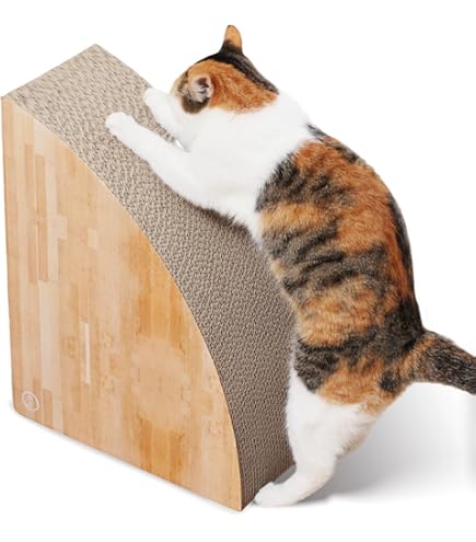 Amazon | 猫壱 バリバリダイカット 猫のゆりかご mofusand 爪研ぎ