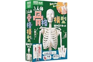 1/6サイズ人体骨格模型組み立てキット (科学と学習PRESENTS)