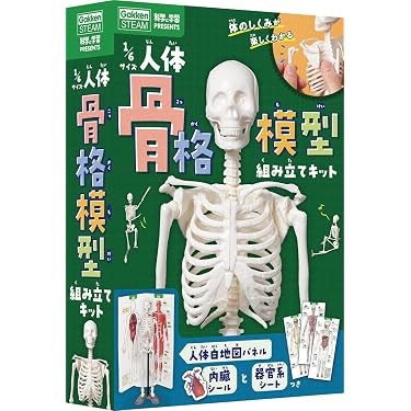 Amazon.co.jp 売れ筋ランキング: カイロプラクティック・整体 の中で