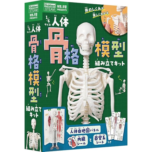 Amazon.co.jp: もう一度見たい!「科学」と「学習」 (Gakken Mook