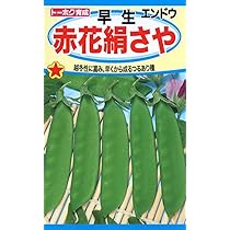 Amazon | 株式会社トーホク 絹さやえんどう 01250 | 野菜