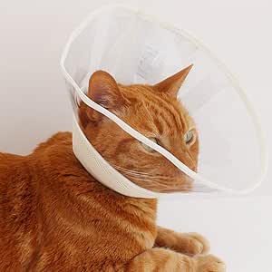 透明クリア Ssサイズ 猫用ソフト素材エリザベスカラー チェック ベージュ Nekozuki エリザベスカラー 通販 Amazon