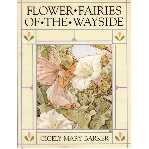 Amazon | Flower Fairies of the Garden (The original flower fairy