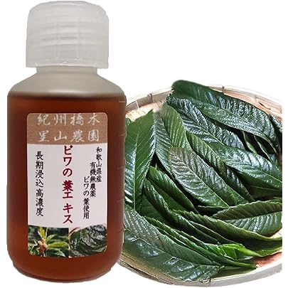 永遠のフィールド　ビワの葉エキス溶液 Amazon.co.jp: ビワの葉エキス （500cc） 【三栄商会】 : ビューティー