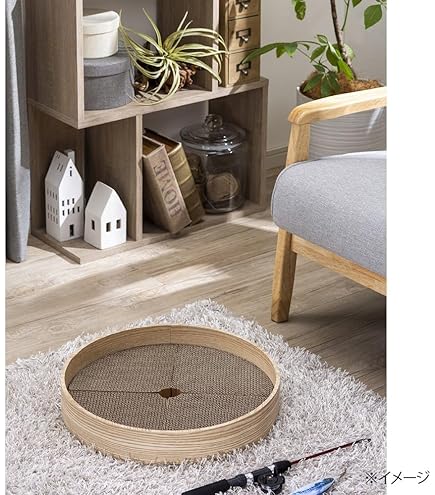 ぎねこ丸 ぺちゃ丸、昨日はトリミングdayでした。 #ねこ #cat #gato #猫好きさん