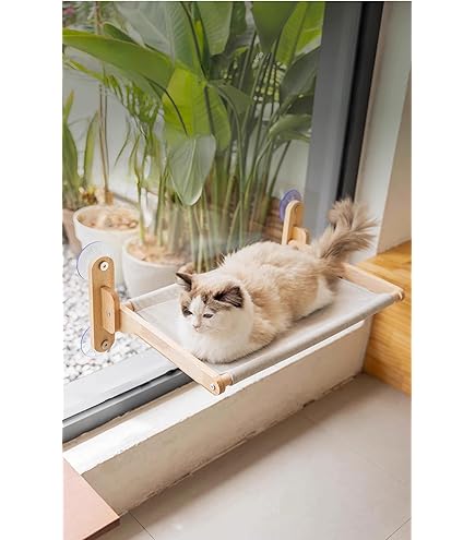 【新品】KUMORIJP 猫用ステップ 窓用 吸盤式 3個セット Amazon | KUMORIJP 吸盤式猫用ウォールマウント 猫窓用ハンモック／窓