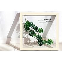 Amazon.co.jp: リーフパネル Forest Deco Monstera Deliciosa3