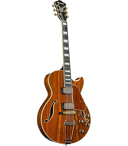 Amazon | Ibanez Artcore Series AF75G Hollowbody エレキギター