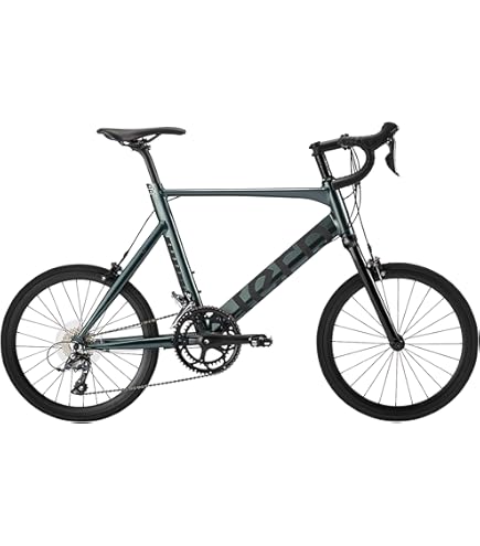 ルイガノ自転車小型イーゼル7.0 20インチ ルイガノ 「ルイガノ」EASEL 7.0 （イーゼル 7.0）BAA-Q 20
