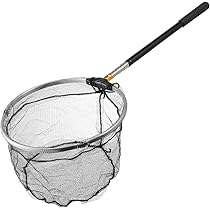 虫　引退　まとめ売り Amazon.co.jp: LEDMOMO メダカ 網 魚とり網 虫取り網 魚を掬う