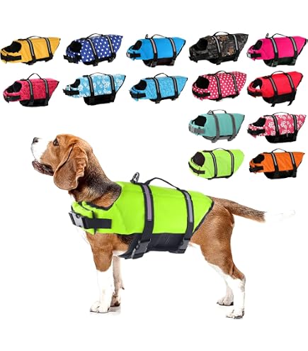 Amazon | EZYDOG(イージードッグ) [正規代理店品] DFDマイクロ レッド