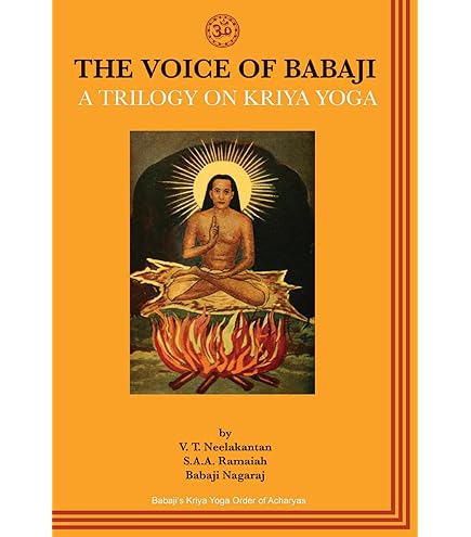 マハー・アヴァター・ババジ像 マハー・アヴァター・ババジ像