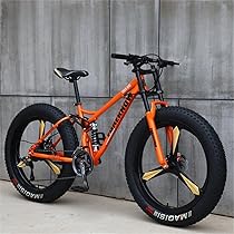 マウンテンバイク　MTB 24 2019 GIANT Bicycles | XTC JR 24 +