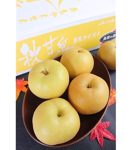 Amazon.co.jp: 梨 クール便指定 鳥取 新甘泉 秀品 5kg 12玉～16玉入
