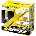 IPF フォグランプ LED 車用 H8 H11 H16 2000lm 2400K イエロー 12V用 2本入 車検対応 ドライバーユニット別体型 ファンレス仕様 ノイズ対策済 アウターエーミング機構搭載 定電流回路内蔵 104FLB