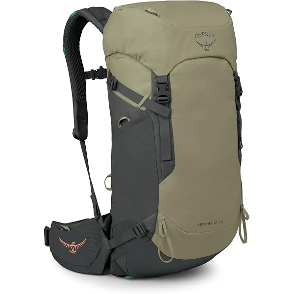 Amazon.co.jp: OSPREY(オスプレー) キャンバー30 OS52300 アルパイン