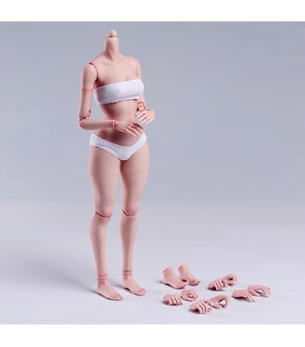 Amazon | [Tbmodel] Worldbox 1/6 フィギュア 女性 関節 素体 セット