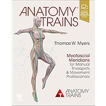 Anatomy Trains: Myofascial Meridians for Manual Therapists and