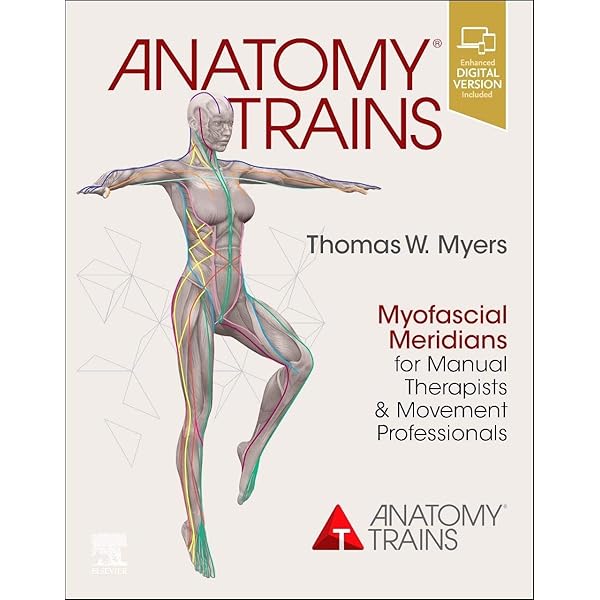 Amazon | Fascia: The Tensional Network of the Human Body