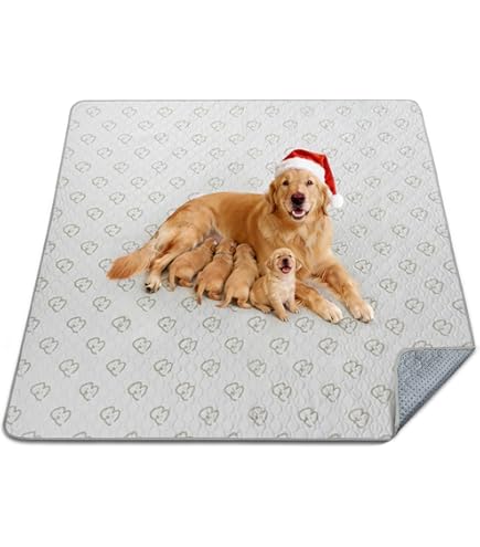 Amazon | FXW AuraSpace 透明アクリル犬用サークル 室内用 90cm 8枚