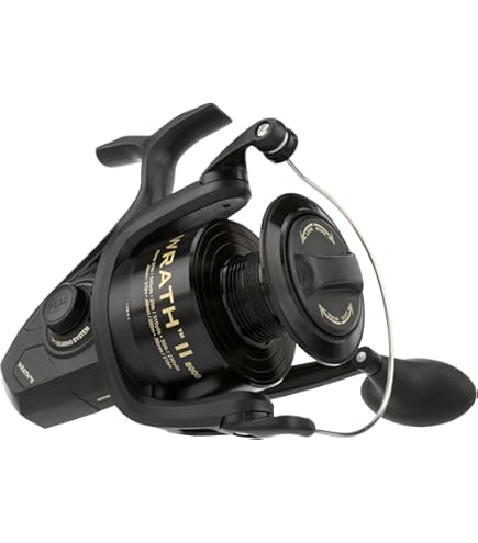 Amazon | ペン追求III 6000Cスピニング釣りリール、ブラック
