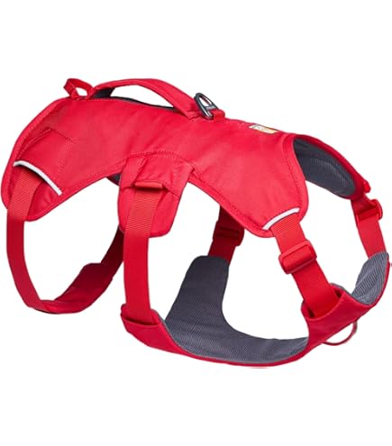 Amazon | RUFFWEAR(ラフウェア) ウェブマスターハーネス 1874101【日本