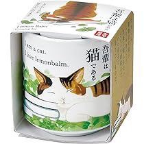 【マッコス2苗＆秀麗＆セダム】初心者様オススメ♡ マッコス2苗＆秀麗＆セダム】初心者様オススメ♡