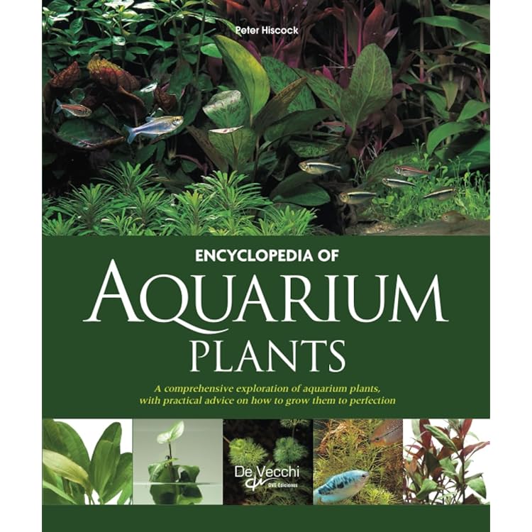 Nature Aquarium World: Book 1: Bk. 1 : Amano, Takashi: Amazon.com
