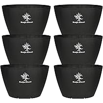 Amazon.co.jp: Kaiju Plant 怪獣ポットEco6.5 スリット鉢 6.5号 麦わら