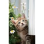 猫 FVGA(480×800)壁紙 2023こねこカレンダー 猫 FVGA(480×800)壁紙 2023こねこカレンダー