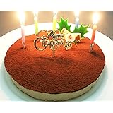 誕生日ケーキ 糖質75%カット 低糖質　生チョコレア チーズケーキ 5号(ローソク・誕生日プレート・柊ピック・カード付)(糖質制限 チョコレートケーキ 砂糖不使用 スイーツ ギフト) (13時迄のご注文で即日(お急ぎ便)発送 (休業日除く))