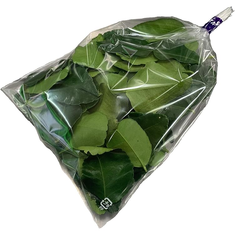 Amazon.co.jp: 生野菜 カー・タクライ・バイマックルセット ガランガル