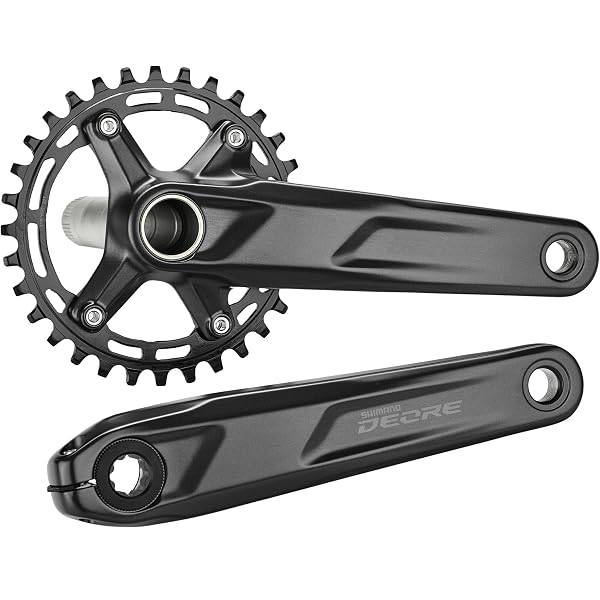 Amazon | Race Face Cranks Next R-170(ケースなし) – グリーン 大人 
