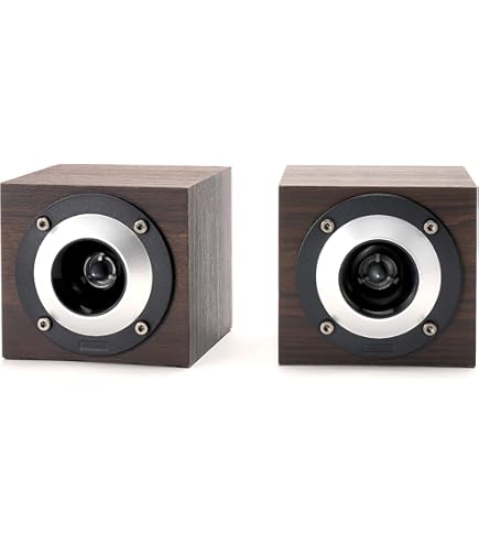 Amazon.co.jp: Oto Kobo Z Super Tweeter Pair Z501 Easy