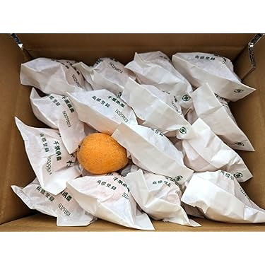 Amazon.co.jp 売れ筋ランキング: びわ の中で最も人気のある商品です