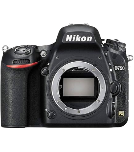 Amazon | Nikon デジタル一眼レフカメラ D80 AF-S DX 18-200G レンズ  