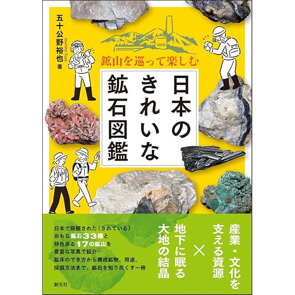 Amazon.co.jp: 東海鉱物採集ガイドブック (GUIDE BOOK OF SHICHIKEN
