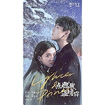 Amazon.co.jp: 中国ドラマ【L&P ライター&プリンセス】全話 DVD