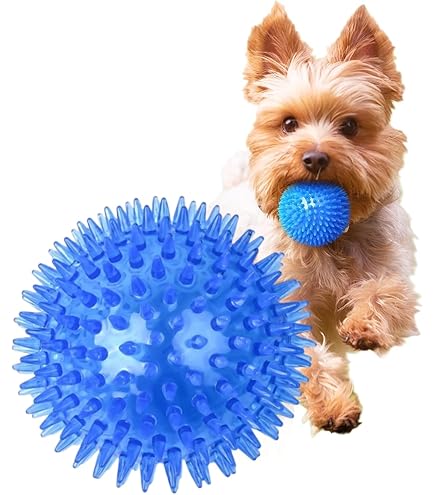 Amazon | 犬用 玩具ボール 音が出る 歯ぎしり 歯磨きボール 噛むボール