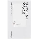 犠牲のシステム 福島・沖縄 (集英社新書)