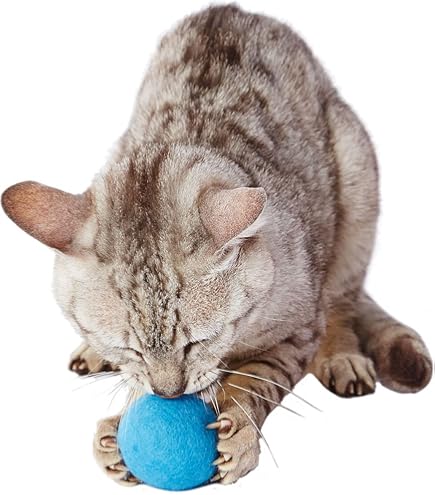 Amazon | アドメイト (ADD. MATE) cat in the box羽根ボールセット