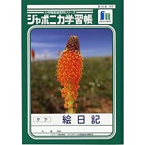 Amazon.co.jp: ショウワノート 学習帳 ジャポニカ 絵日記 縦 B5 5冊
