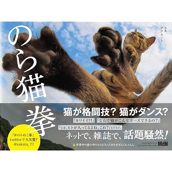 のら猫拳 | アクセント |本 | 通販 | Amazon