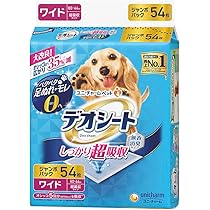 Amazon.co.jp: デオシート しっかり吸収 無香消臭タイプ スーパー